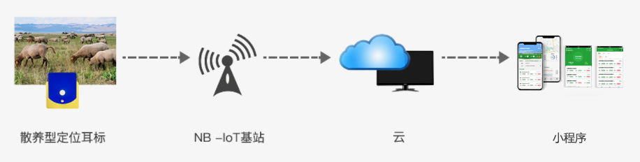 擎天碧-活體抵押金融監管平臺（智能耳標系統軟件）